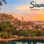 siwa oasis