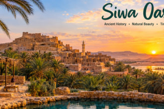siwa oasis